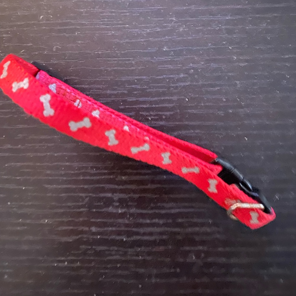 New small dog/cat collar
